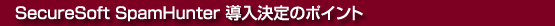SecureSoft SpamHunter ��������̃|�C���g